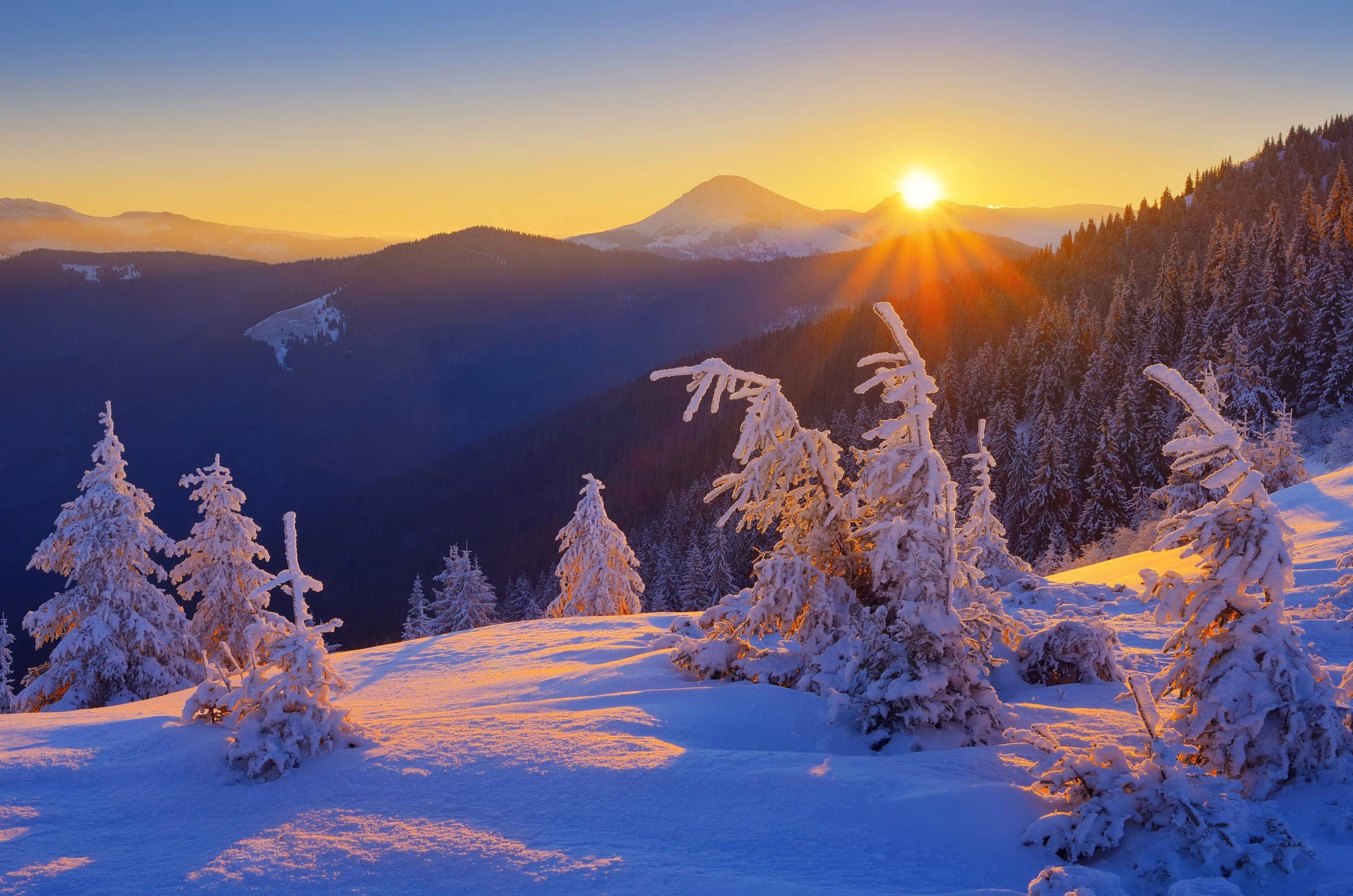 Ukraine Winter Mountain Background