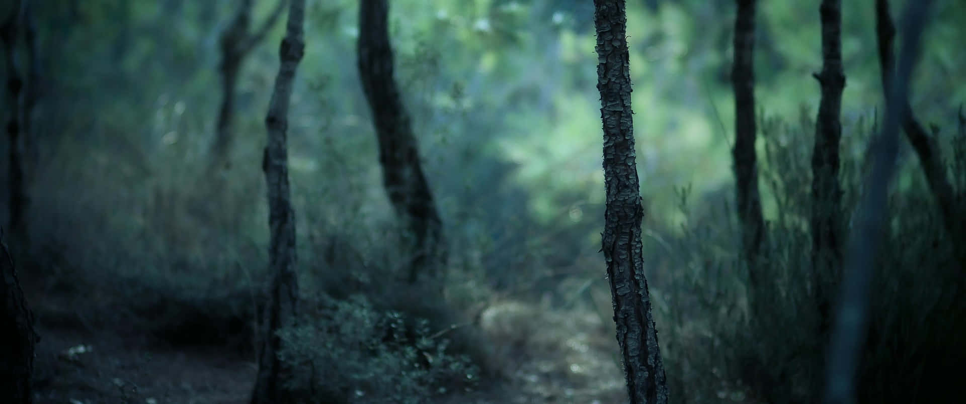 Ultra Wide Nature Selective