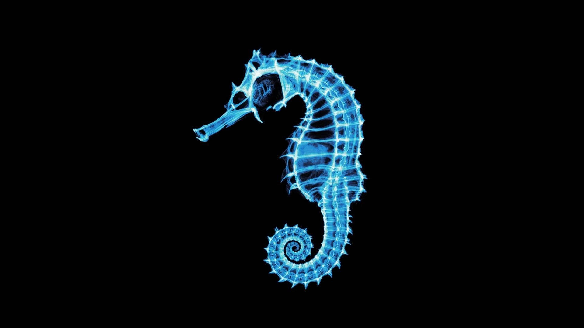 Ultraviolet Blue Seahorse