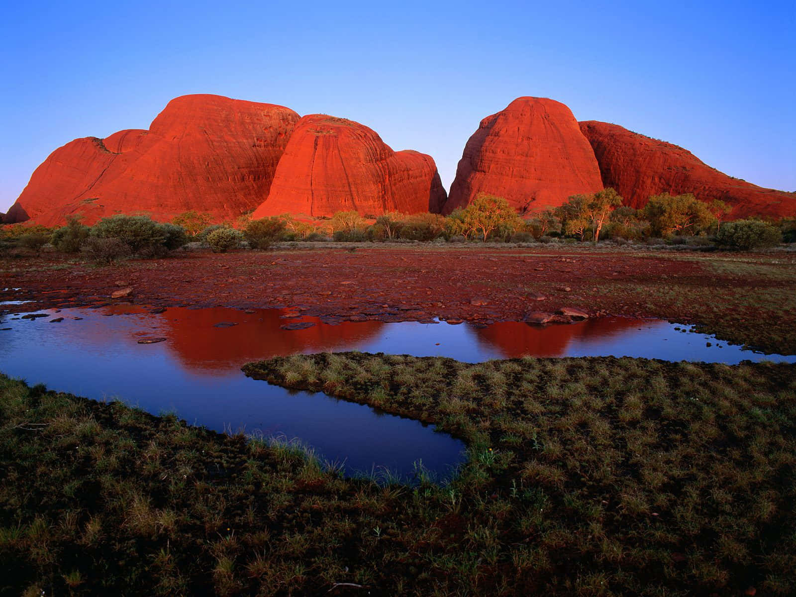 Uluru National Park Background