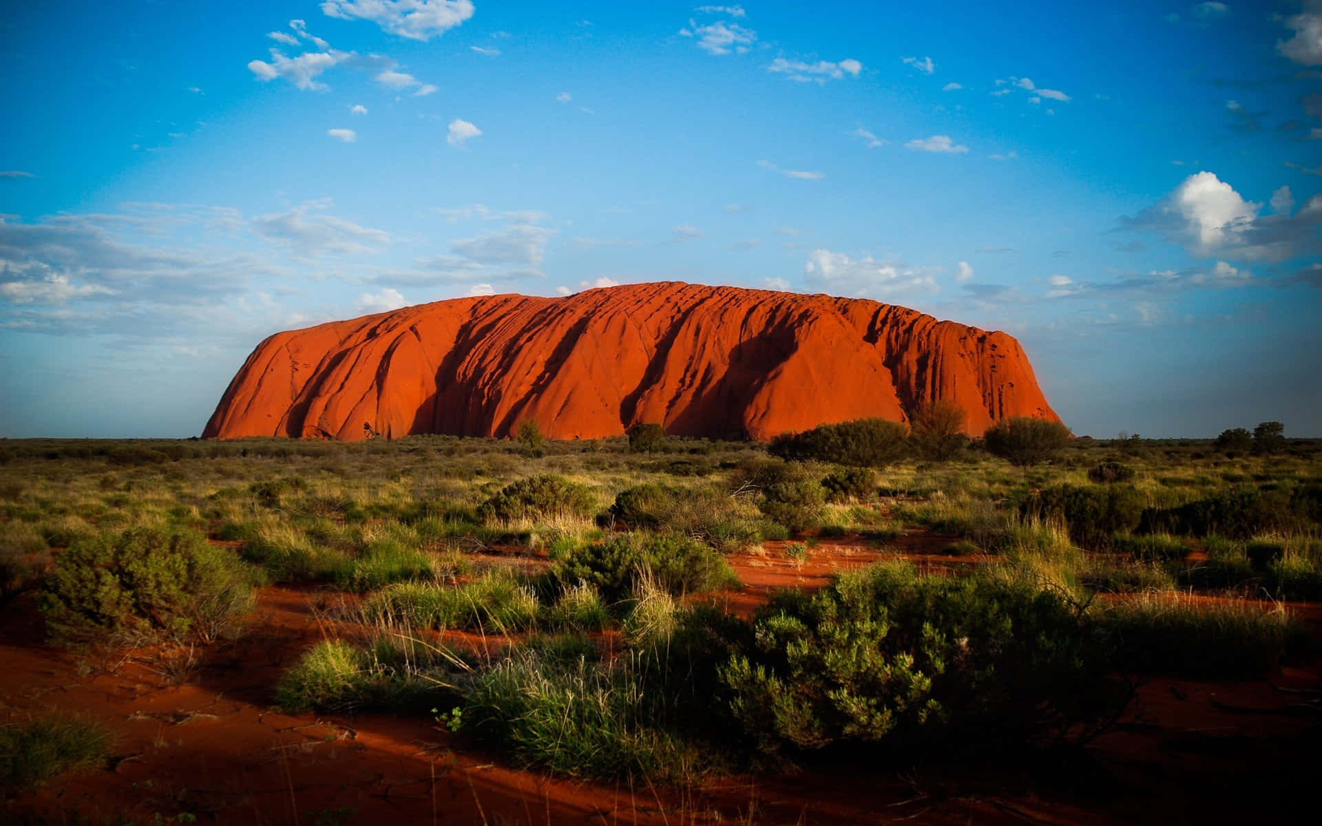 Uluru Sandstone Shrubs Background