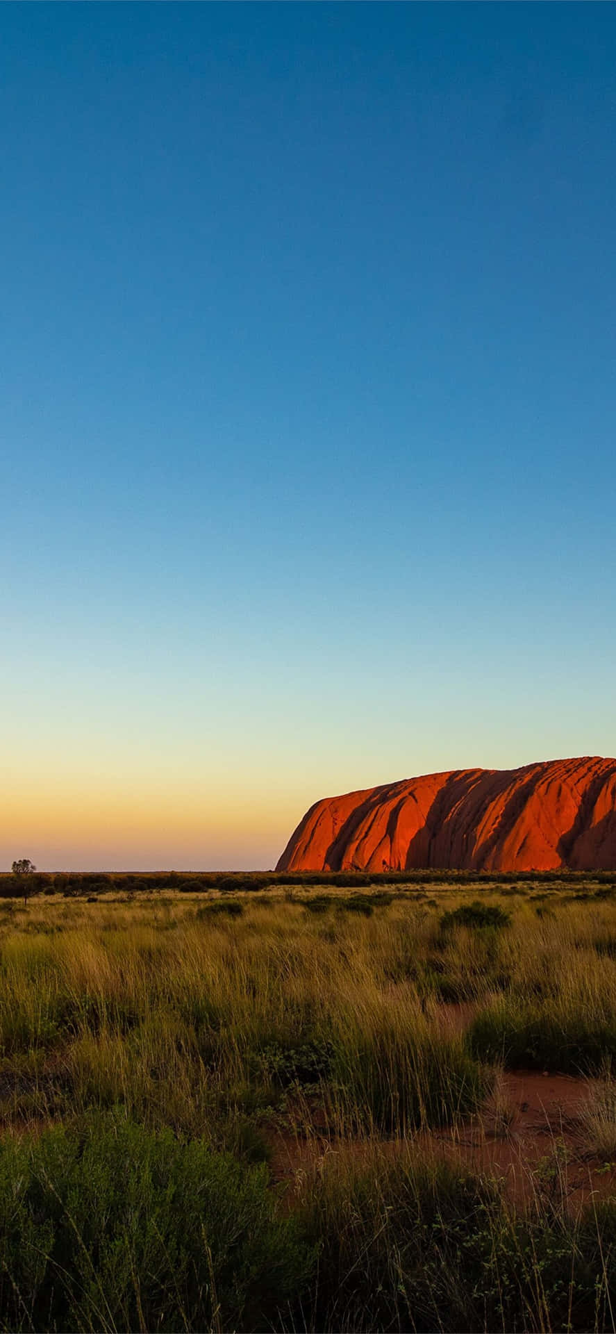 Uluru Yellow Blue Sky Background