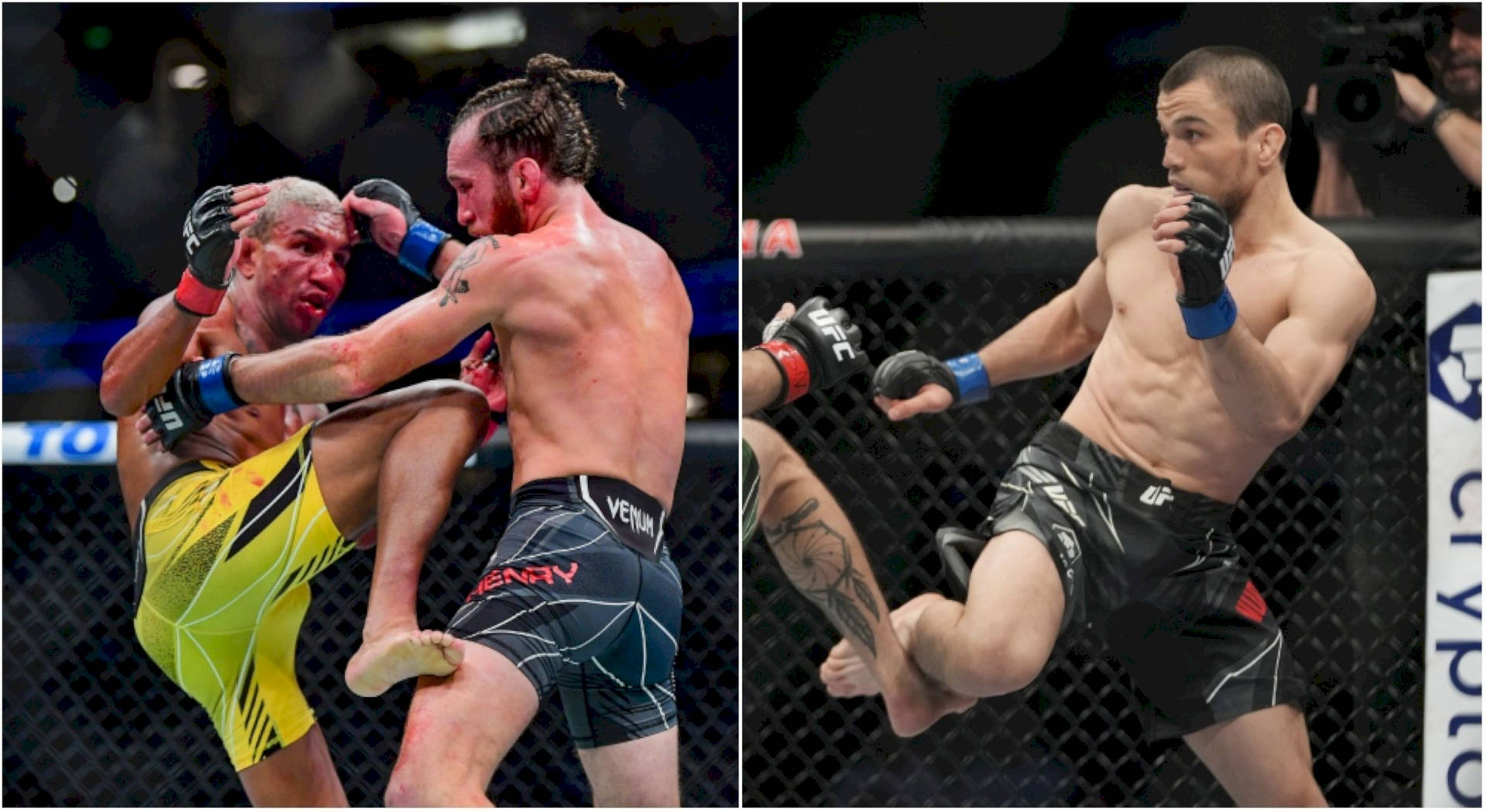 Umar Nurmagomedov In Action Background