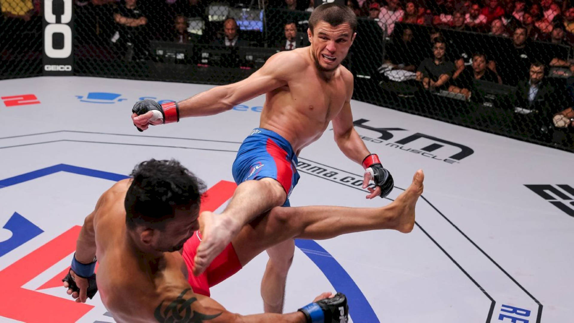 Umar Nurmagomedov Landing His Kick Background