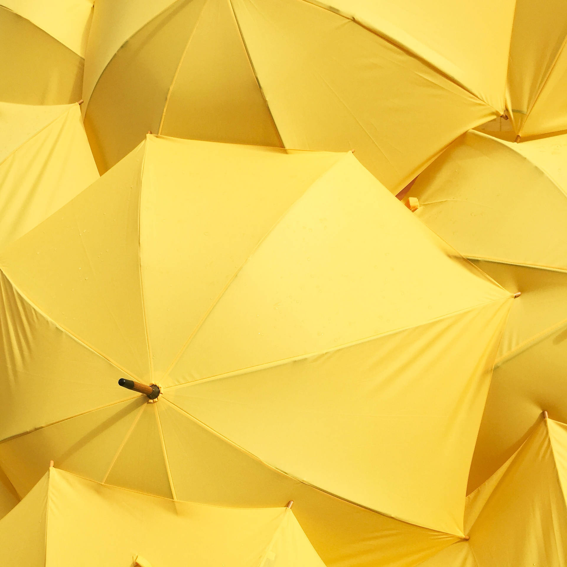 Umbrella Aesthetic Pattern Background