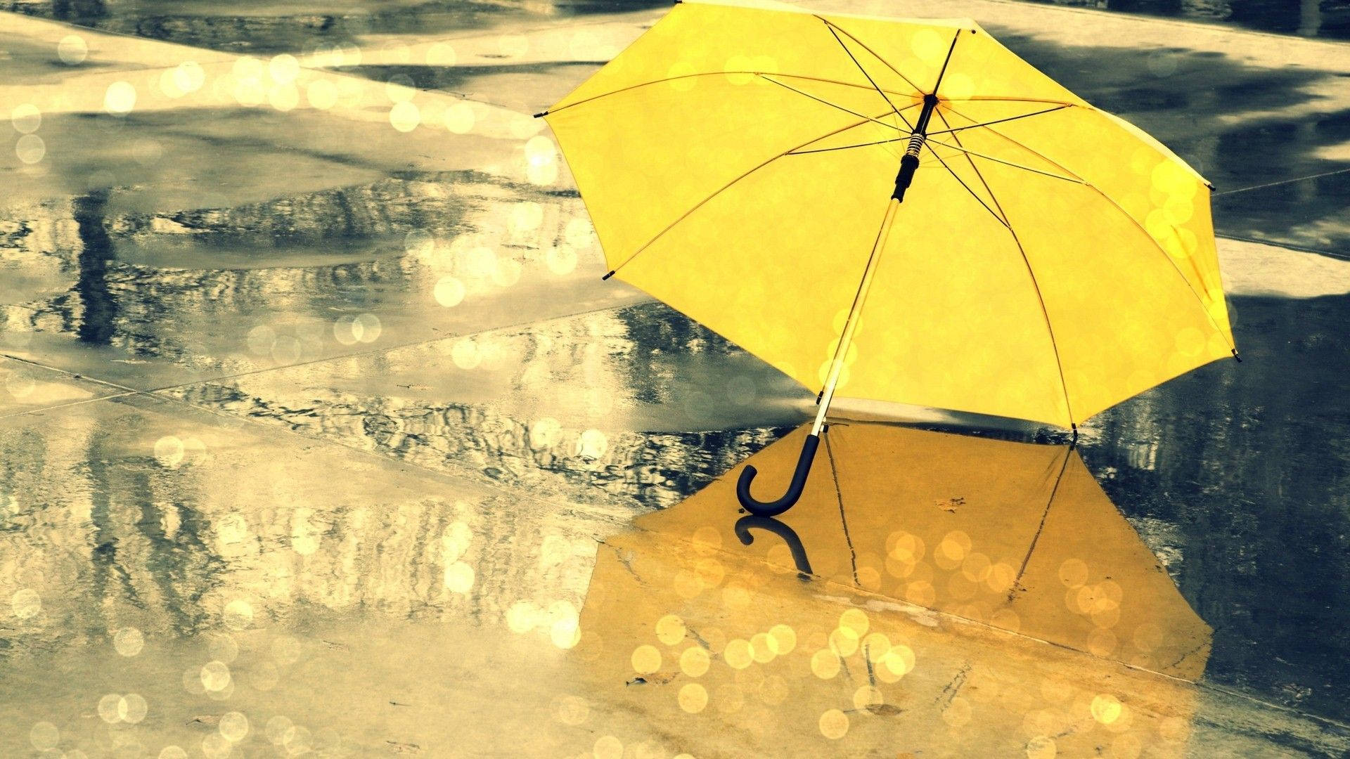 Umbrella Enduring Seasons Background