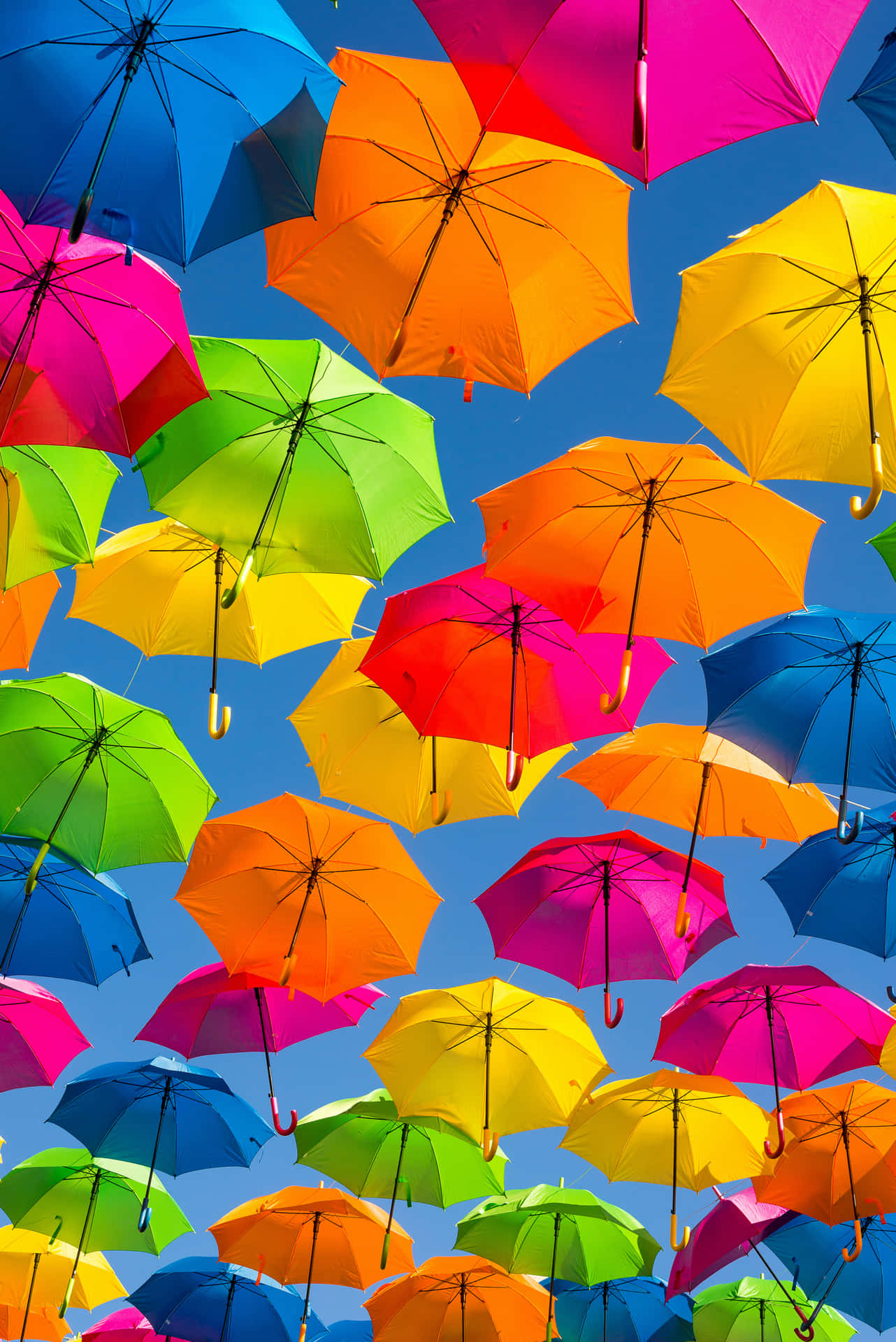 Unbelievably Colorful Rainbow Painted Wall Background