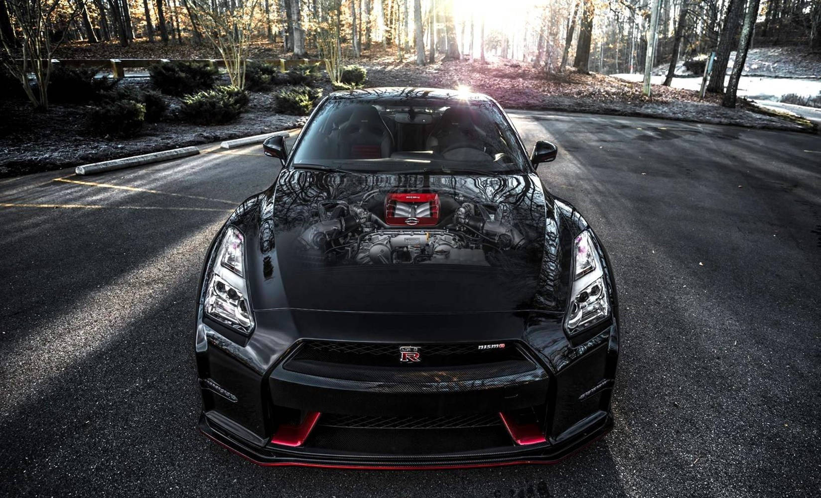 Unblemished Black Nissan Gtr Car