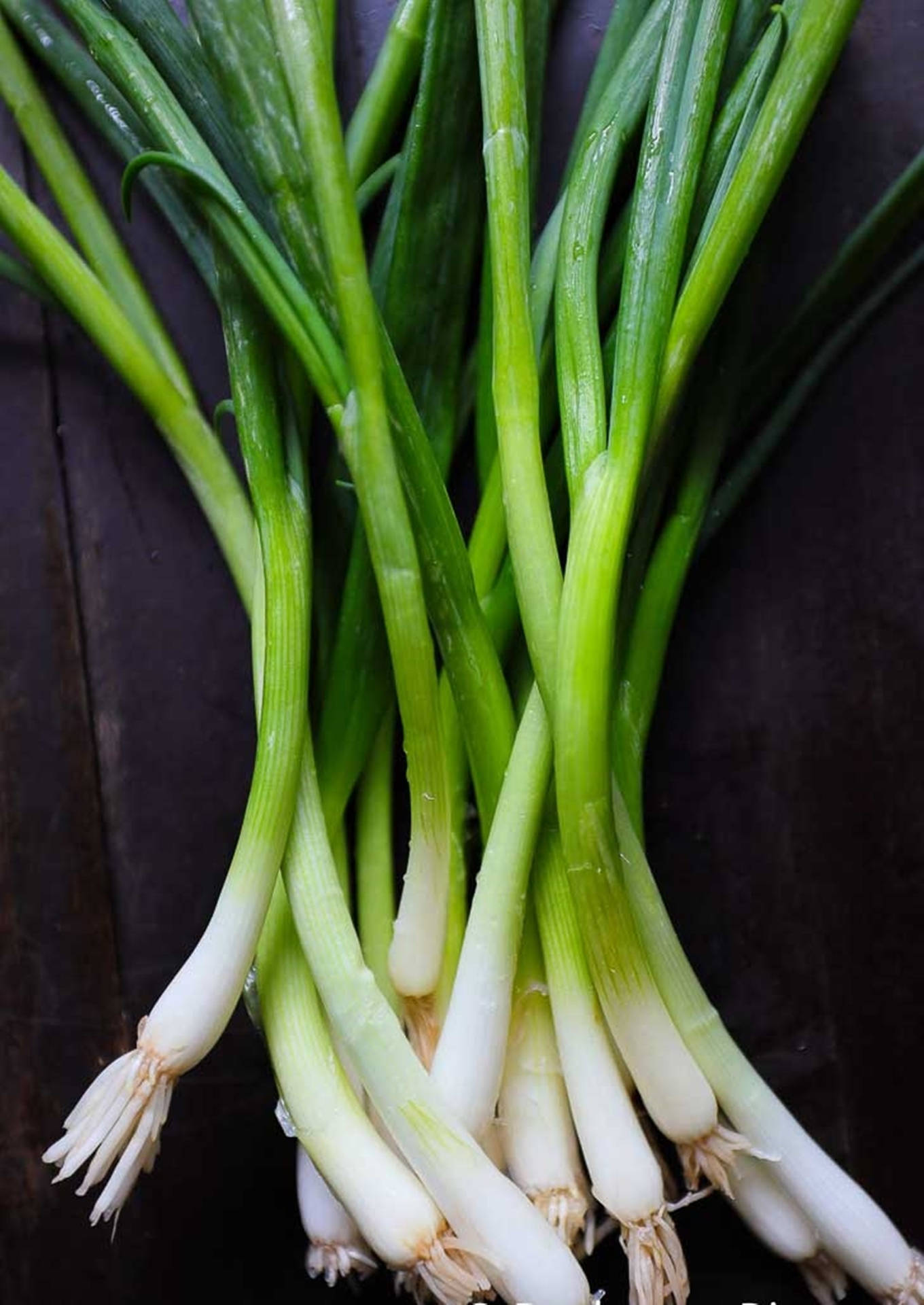 Uncannily Symmetrical Green Onion Stems Background