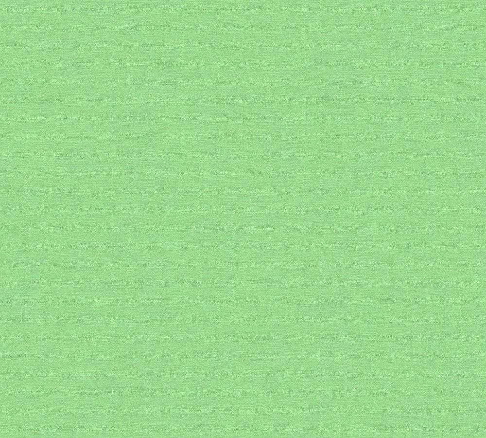 Undecorated Light Green Plain Background