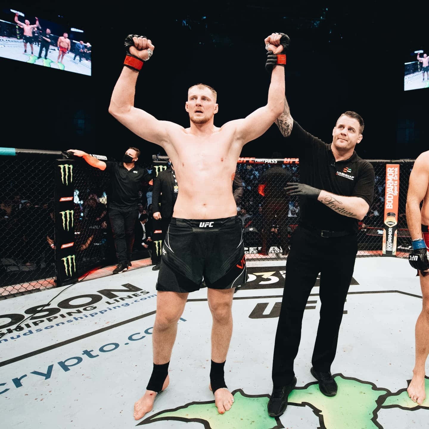 Undefeated Fighter Alexander Volkov In Action Background
