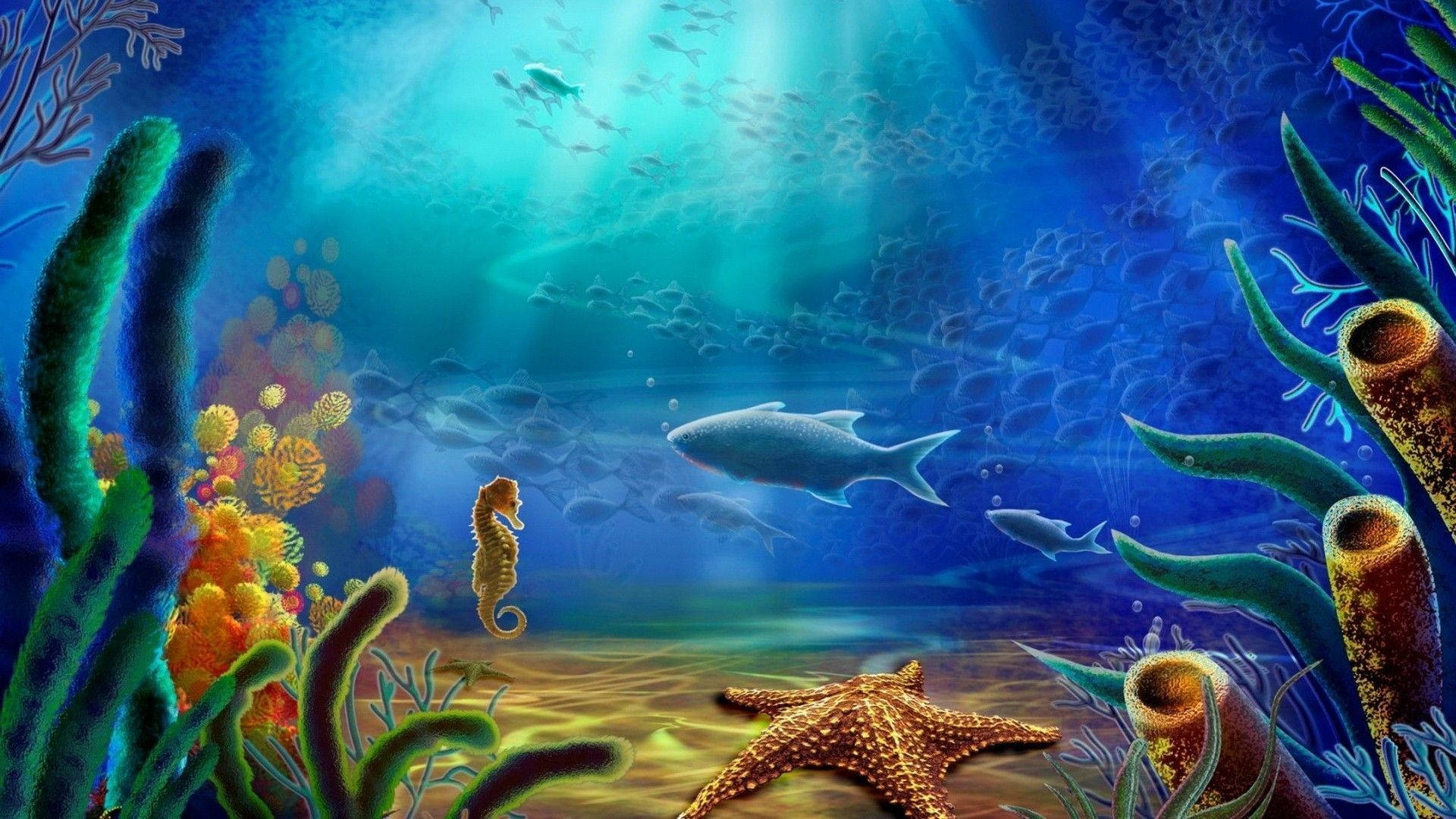 Under The Ocean Creatures Background