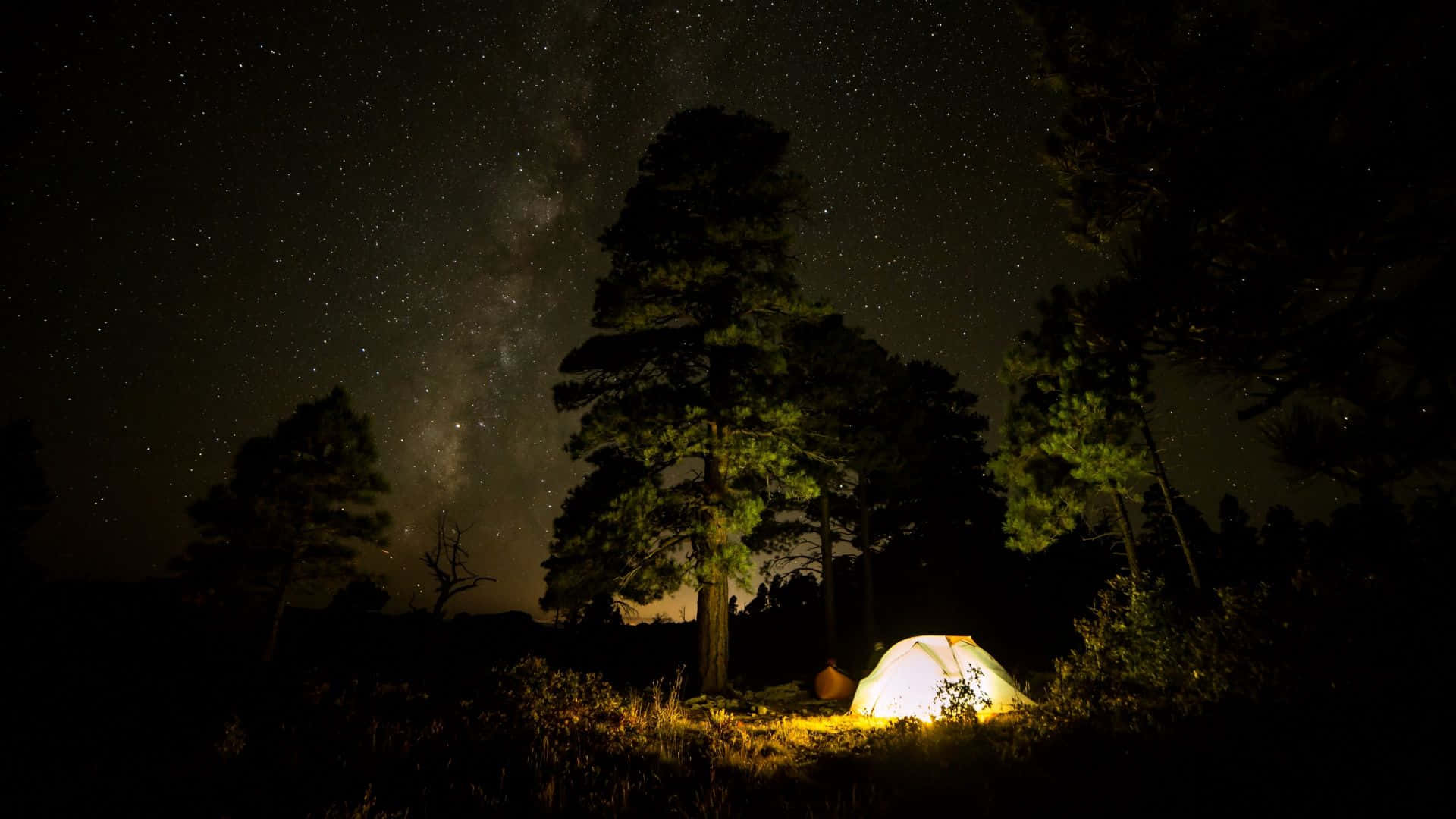 Under The Tree Camping Desktop Background