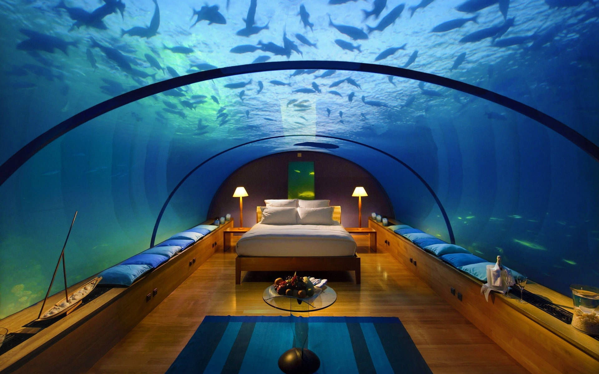 Underwater Aquarium Hotel Bedroom Background