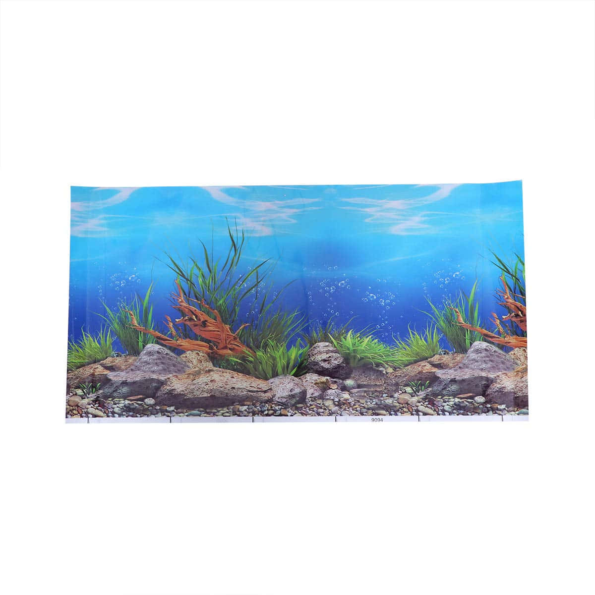 Underwater Beauty In An Aquarium Fish Tank Background