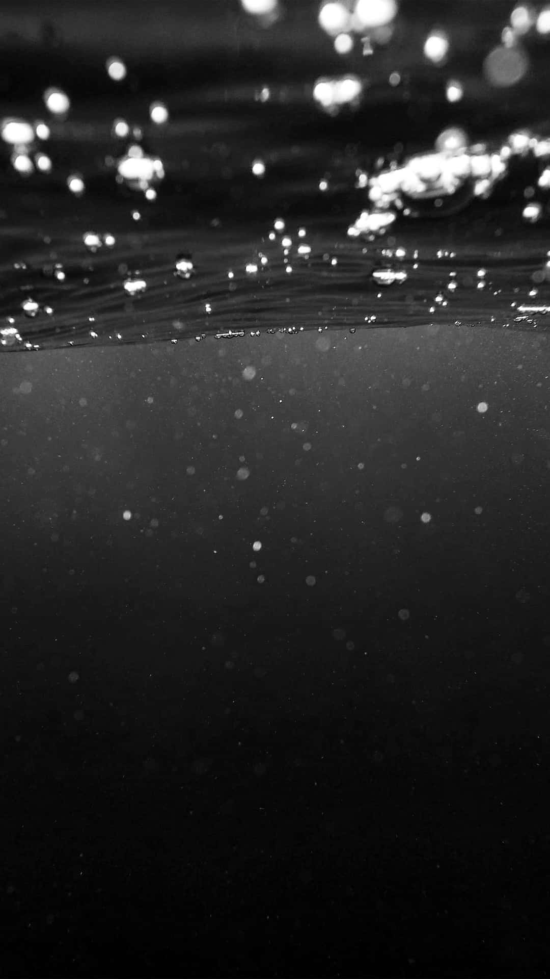 Underwater Black And White Photo Background