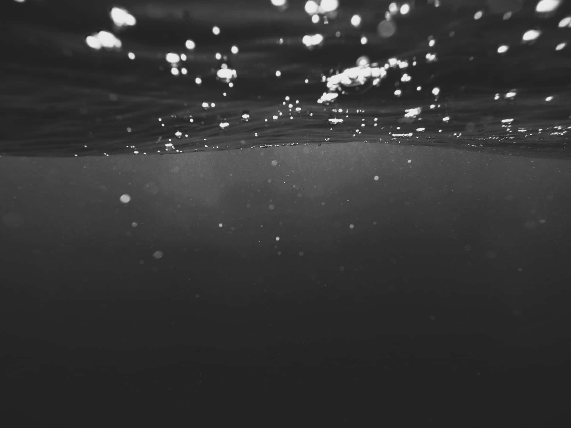 Underwater_ Black_ Ocean_with_ Sparkling_ Lights_4 K Background