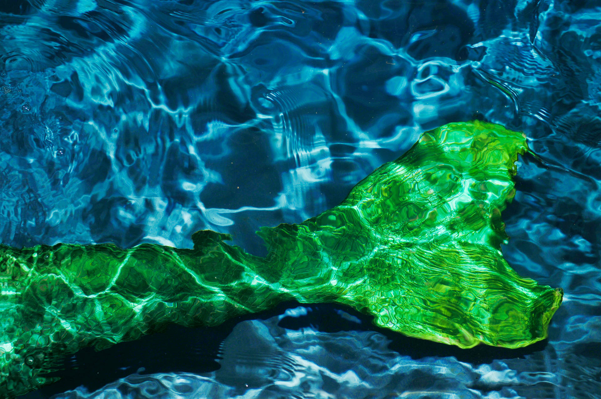Underwater Green Mermaid Tail Background