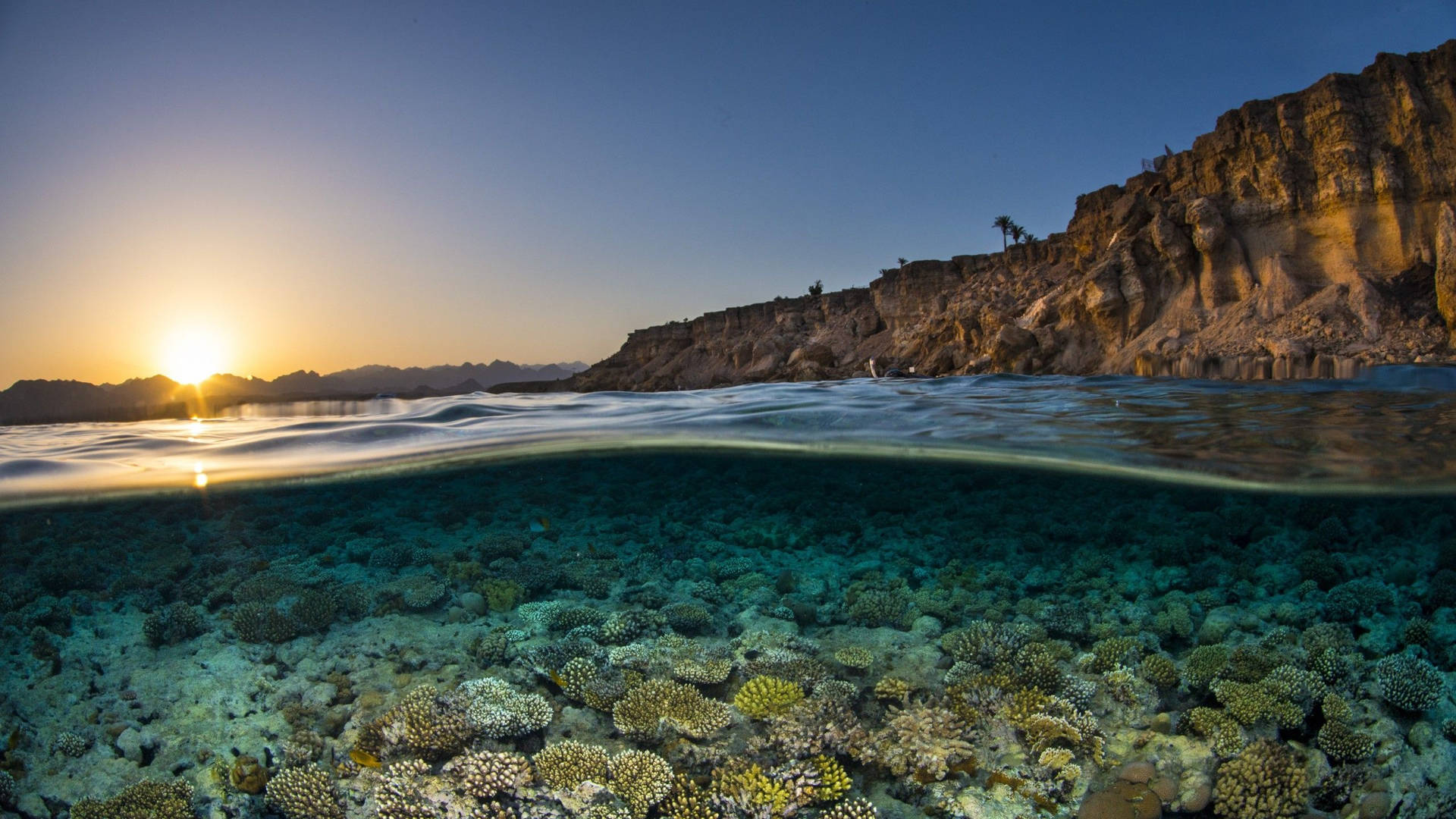 Underwater Ocean And Sunset Background