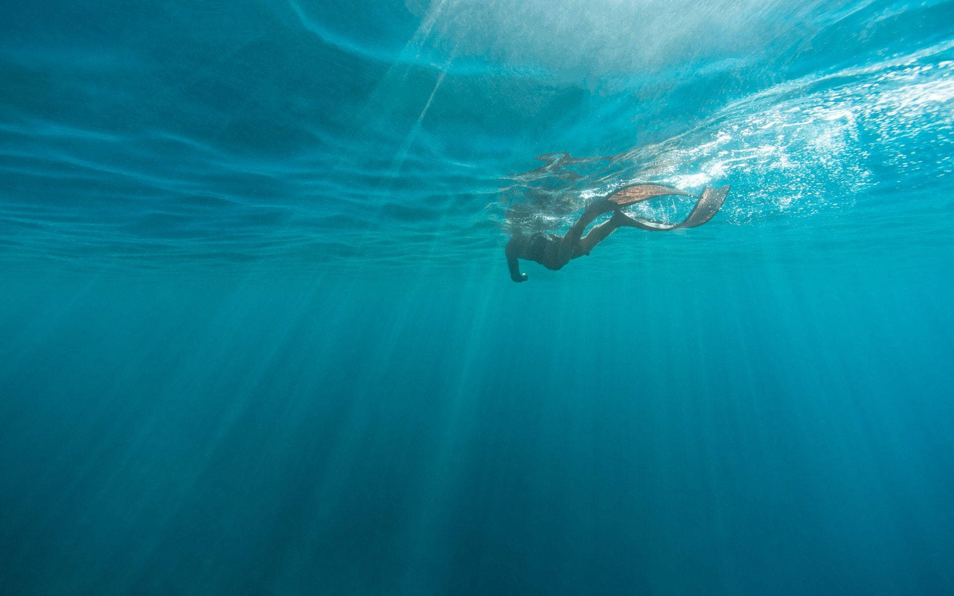 Underwater Photography Swimming Person Background