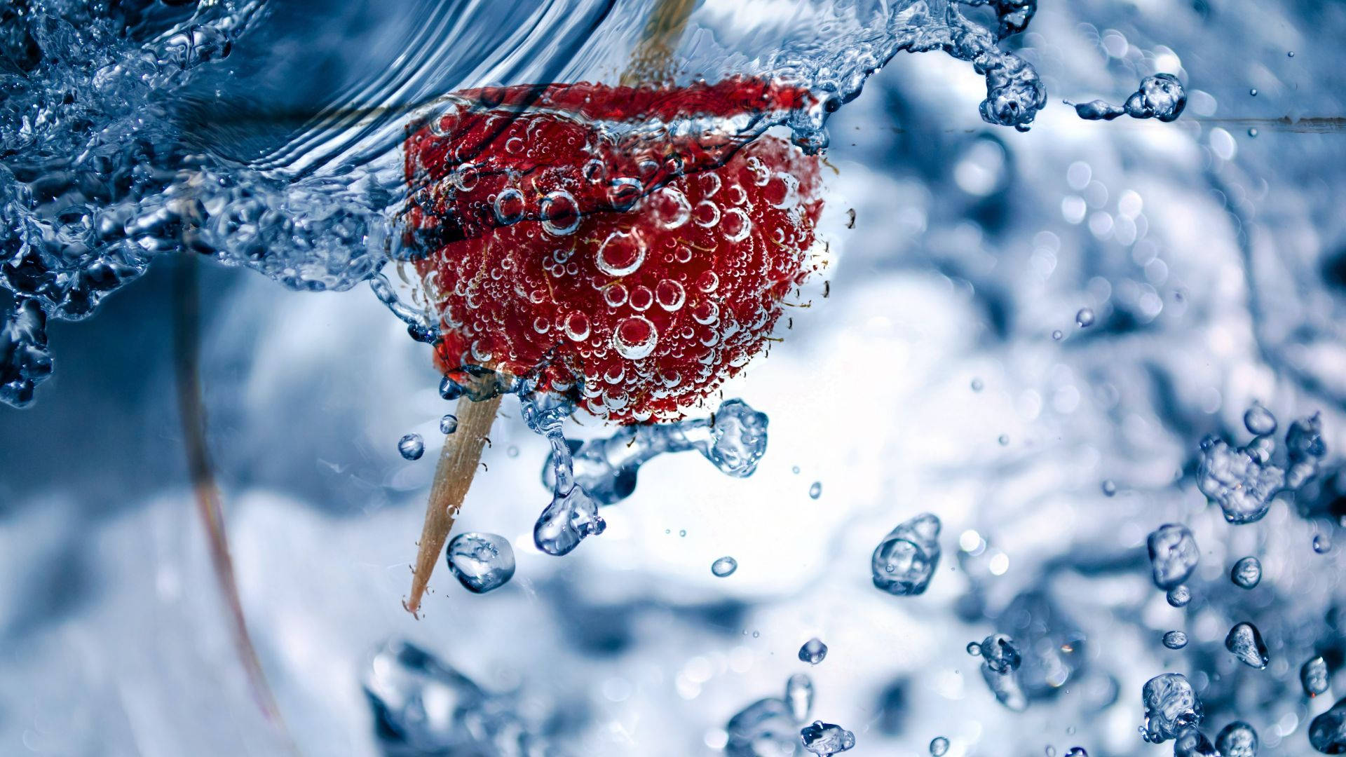 Underwater Red Raspberries On Stick