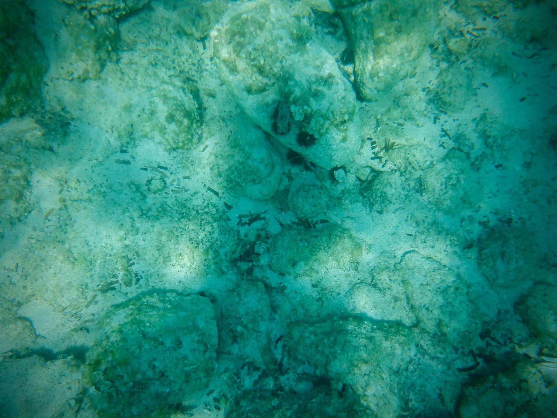 Underwater Seabed Texture Background