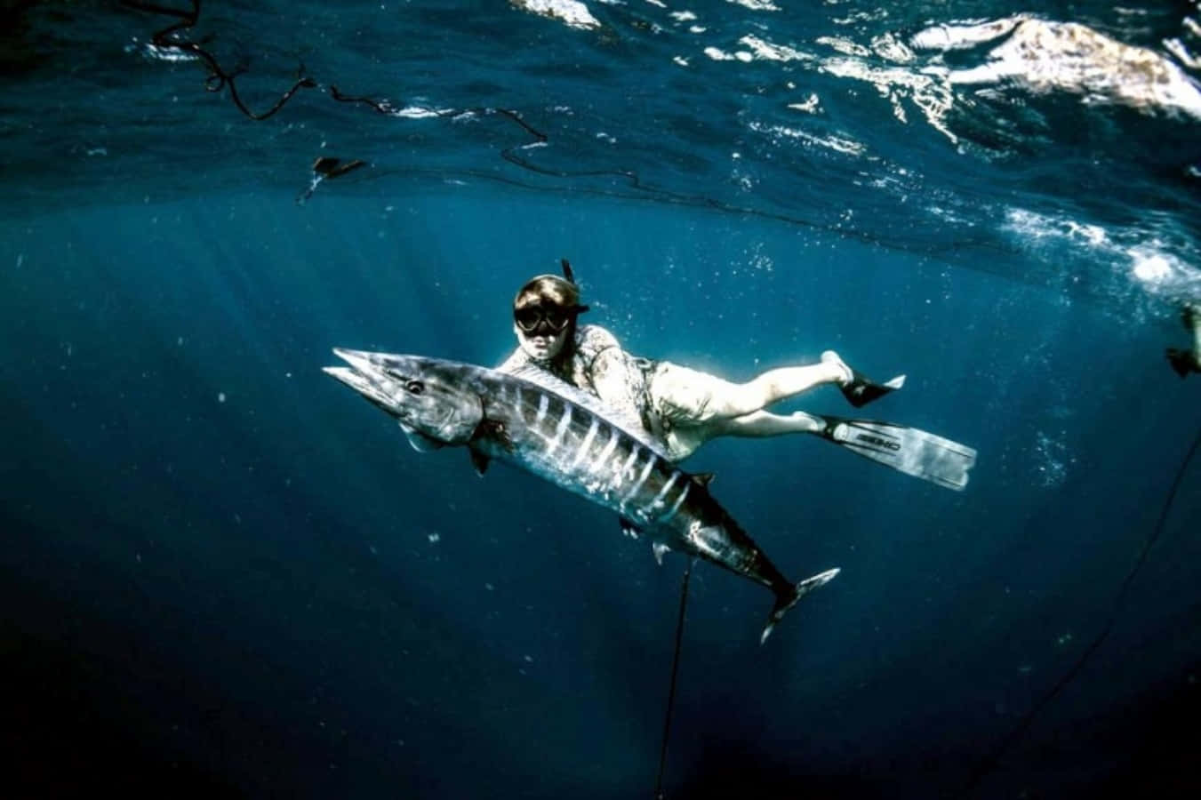 Underwater Spearfishing Wahoo Catch