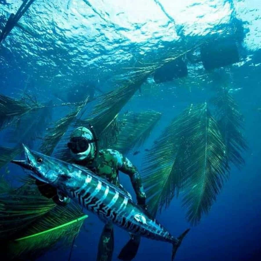 Underwater Spearfishing Wahoo Catch Background