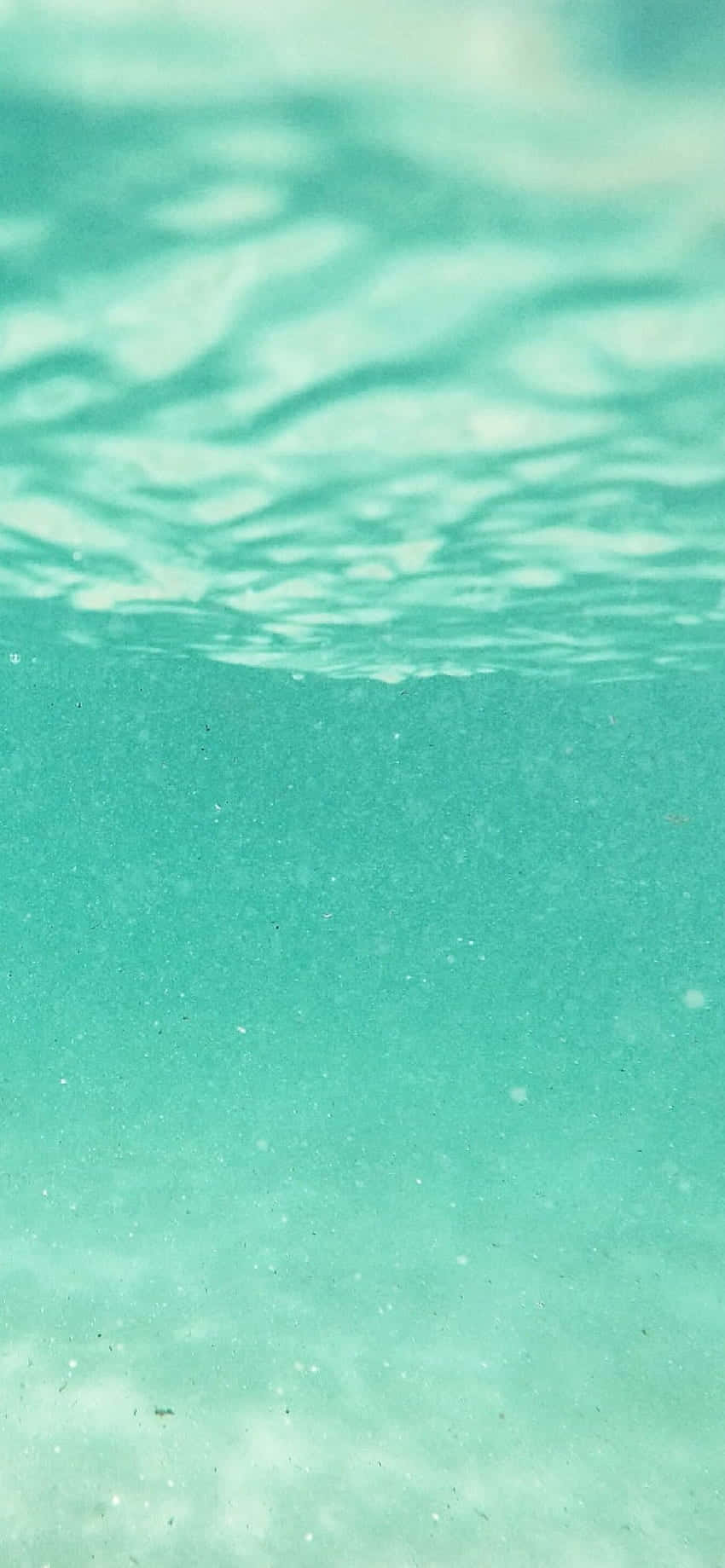 Underwater View Of The Ocean