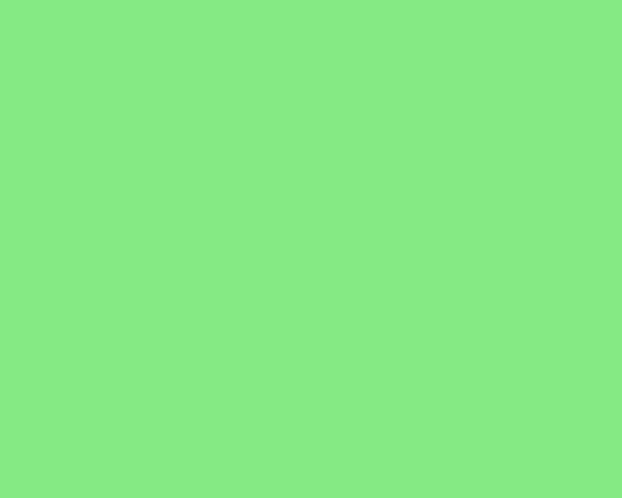 Unembellished Light Green Plain