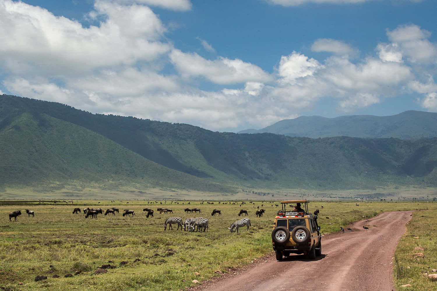 Unesco World Heritage Site Ngorongoro Crater African Wildlife Background