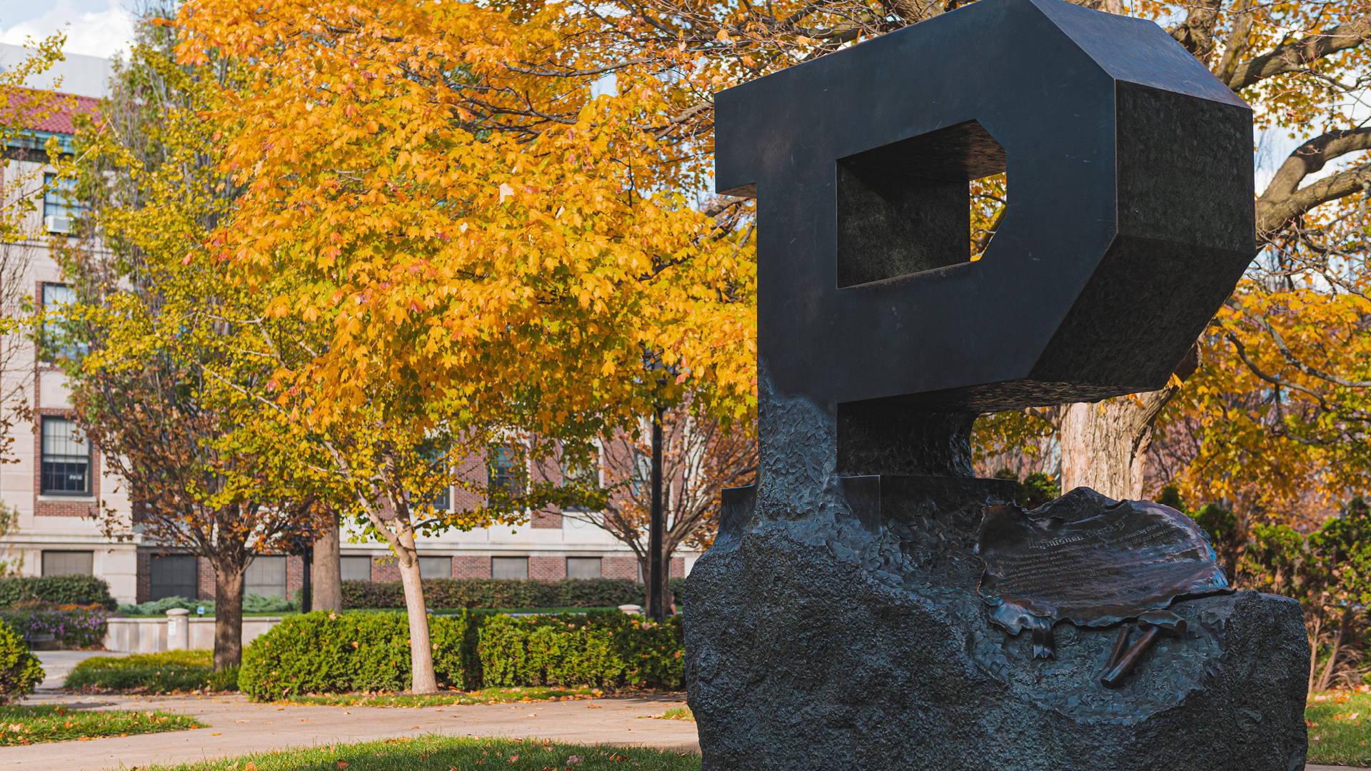 Unfinished Purdue University Block P Background