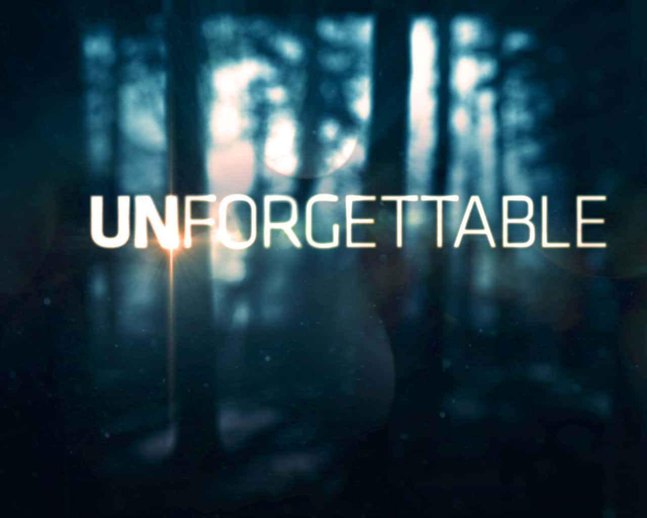 Unforgettable Forest Backdrop Background