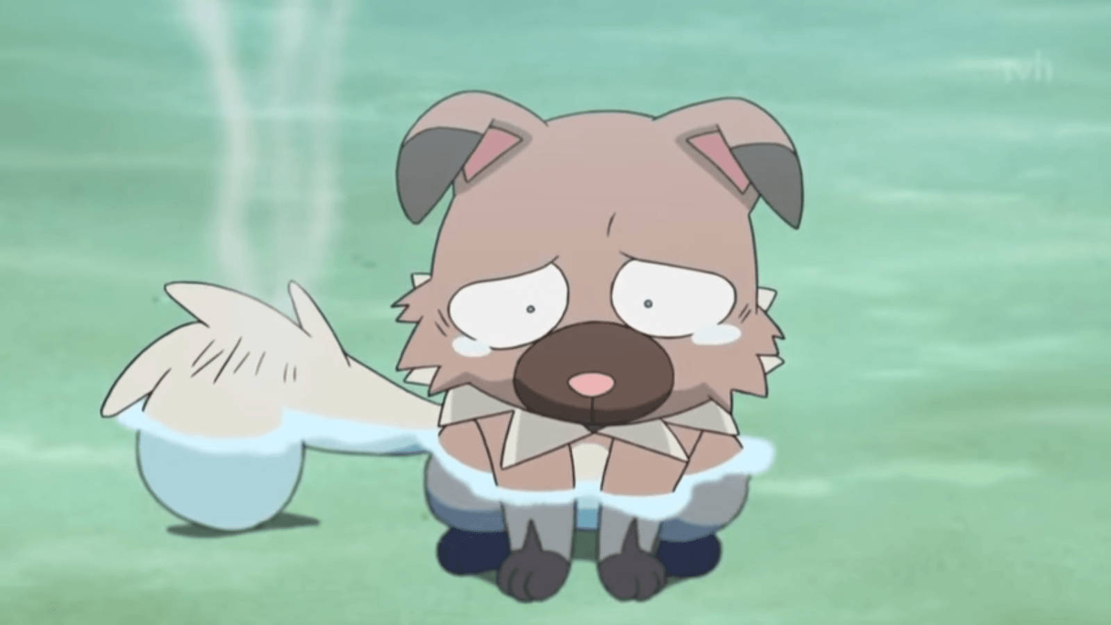 Unhappy Wet Rockruff Background