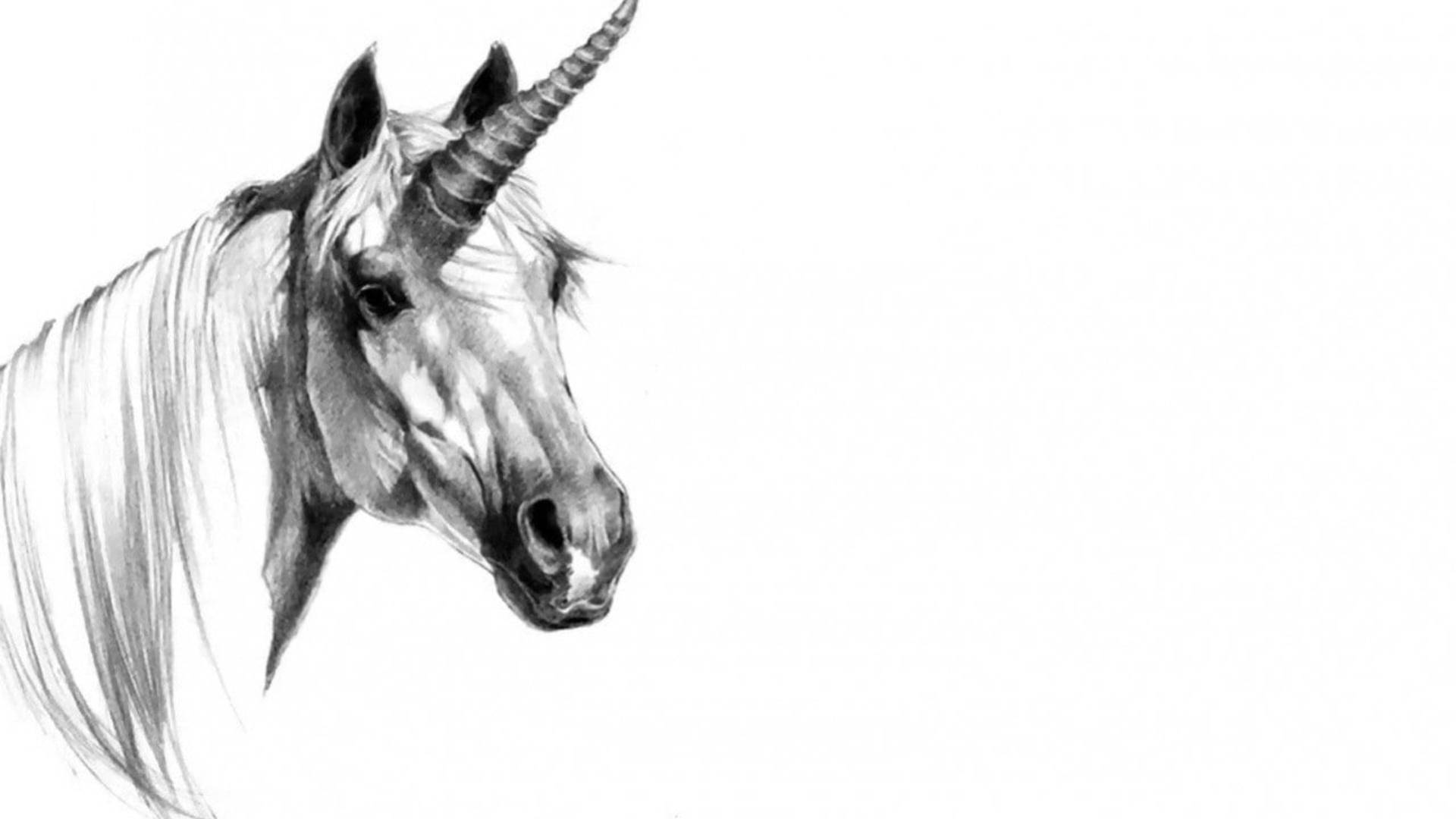 Unicorn Pencil Drawing Background