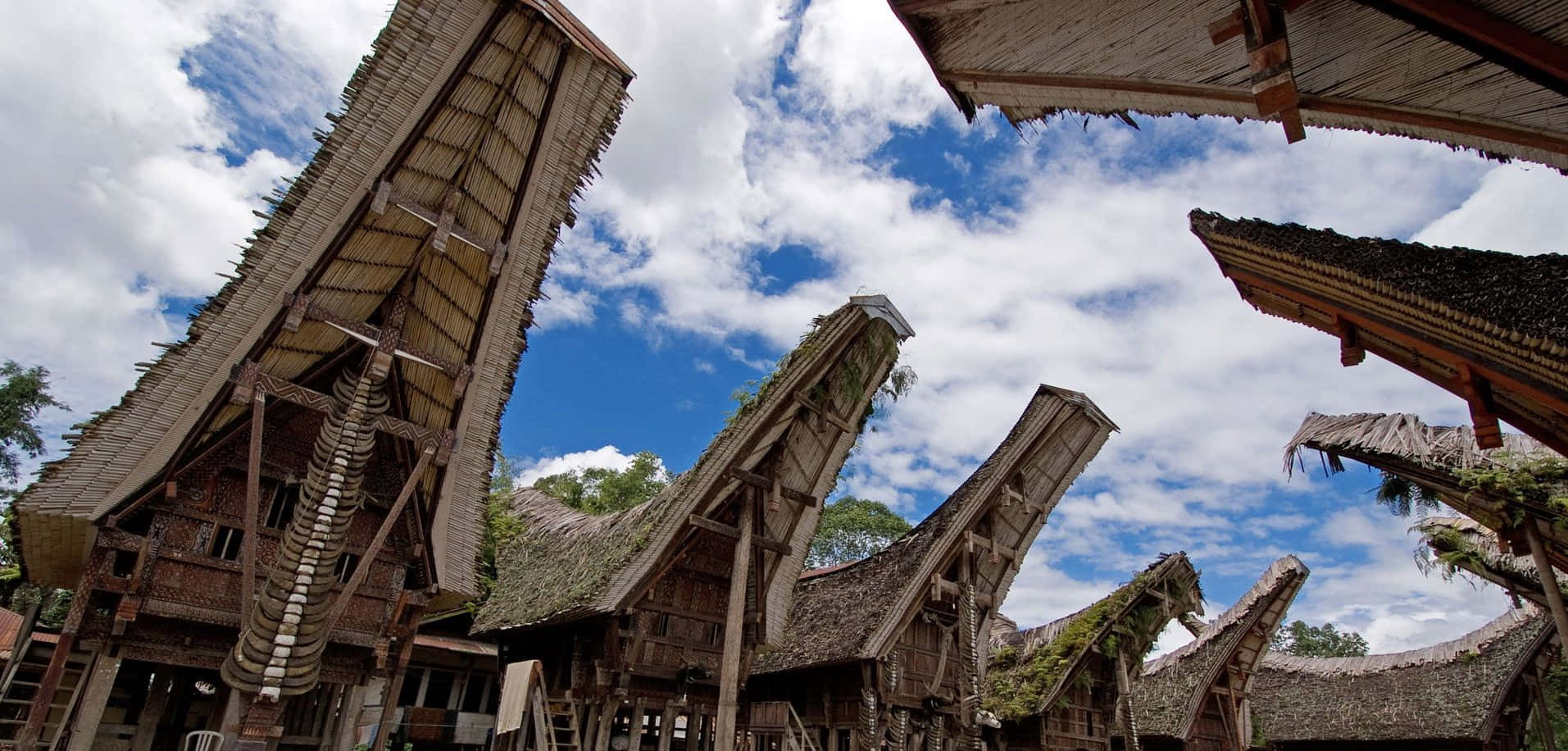 Unique Boat-shaped Roofs Of Traditional Toraja Houses In Sulawesi Background