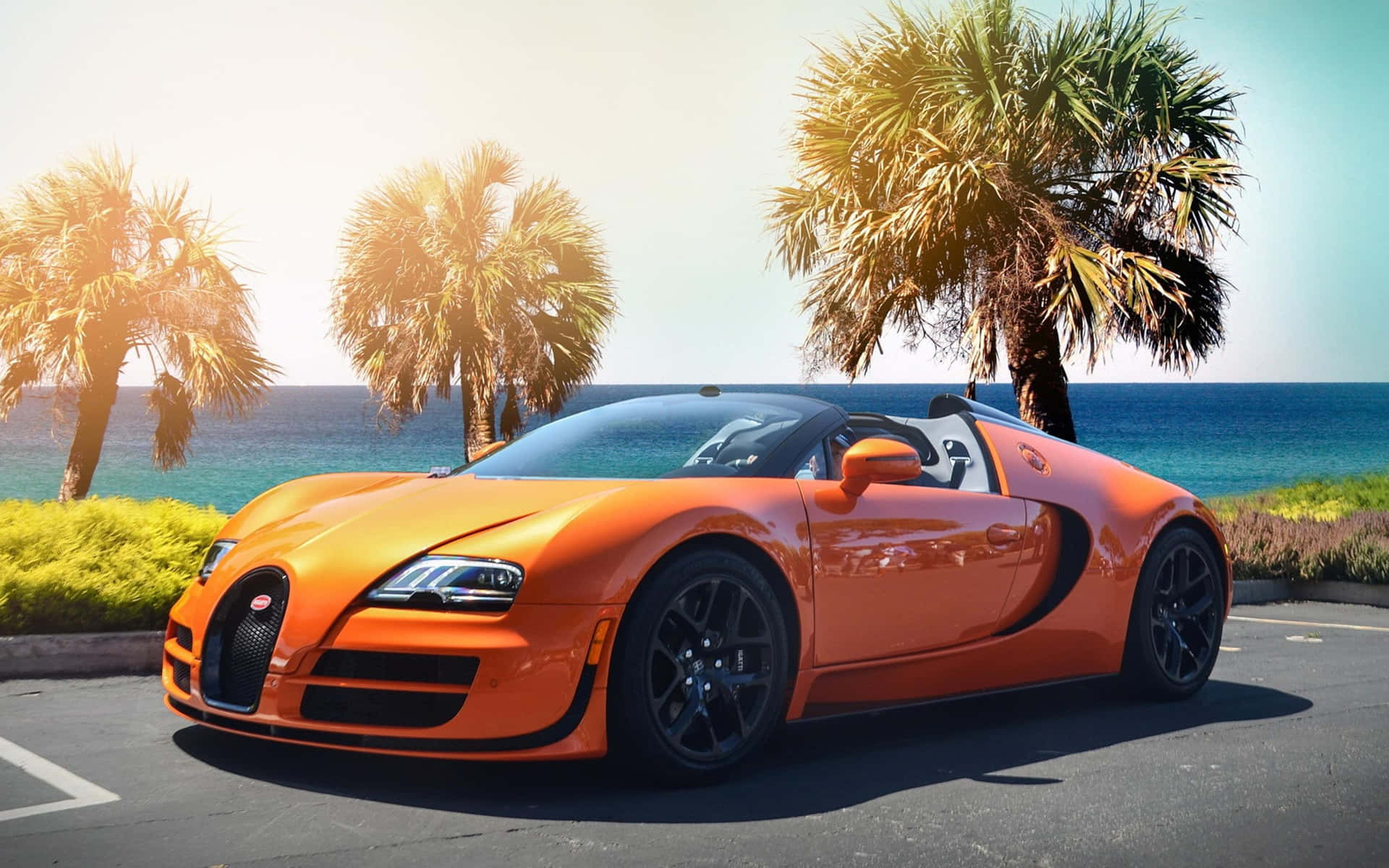 Unique Bugatti Shines Bright In Neon Background