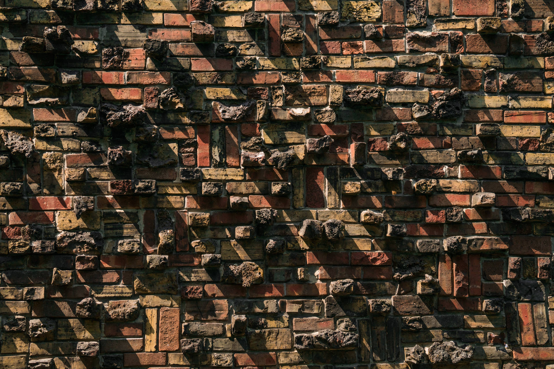 Unique Colored Brick Wall Photography Background