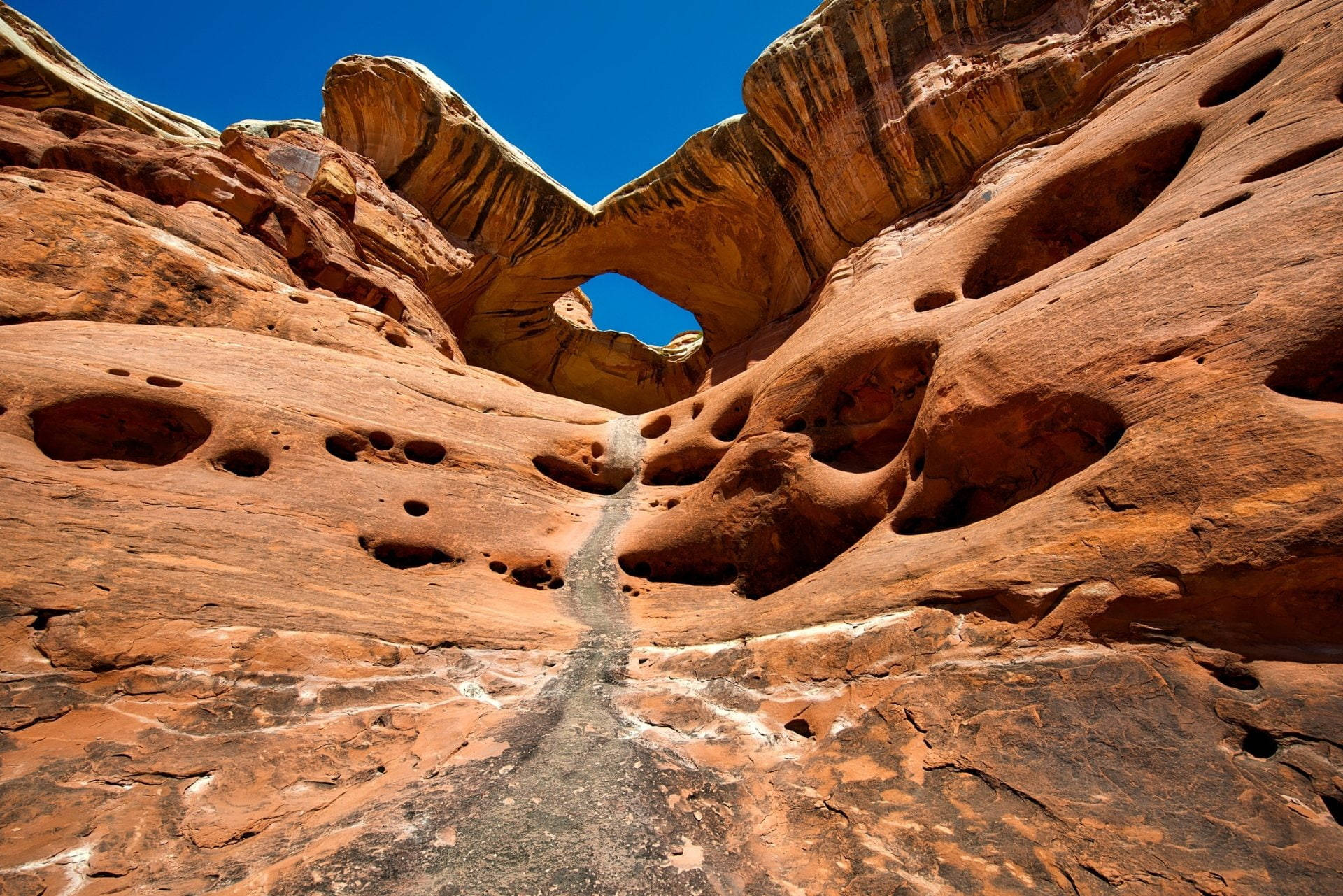 Unique Formations In Canyonlands National Park Background