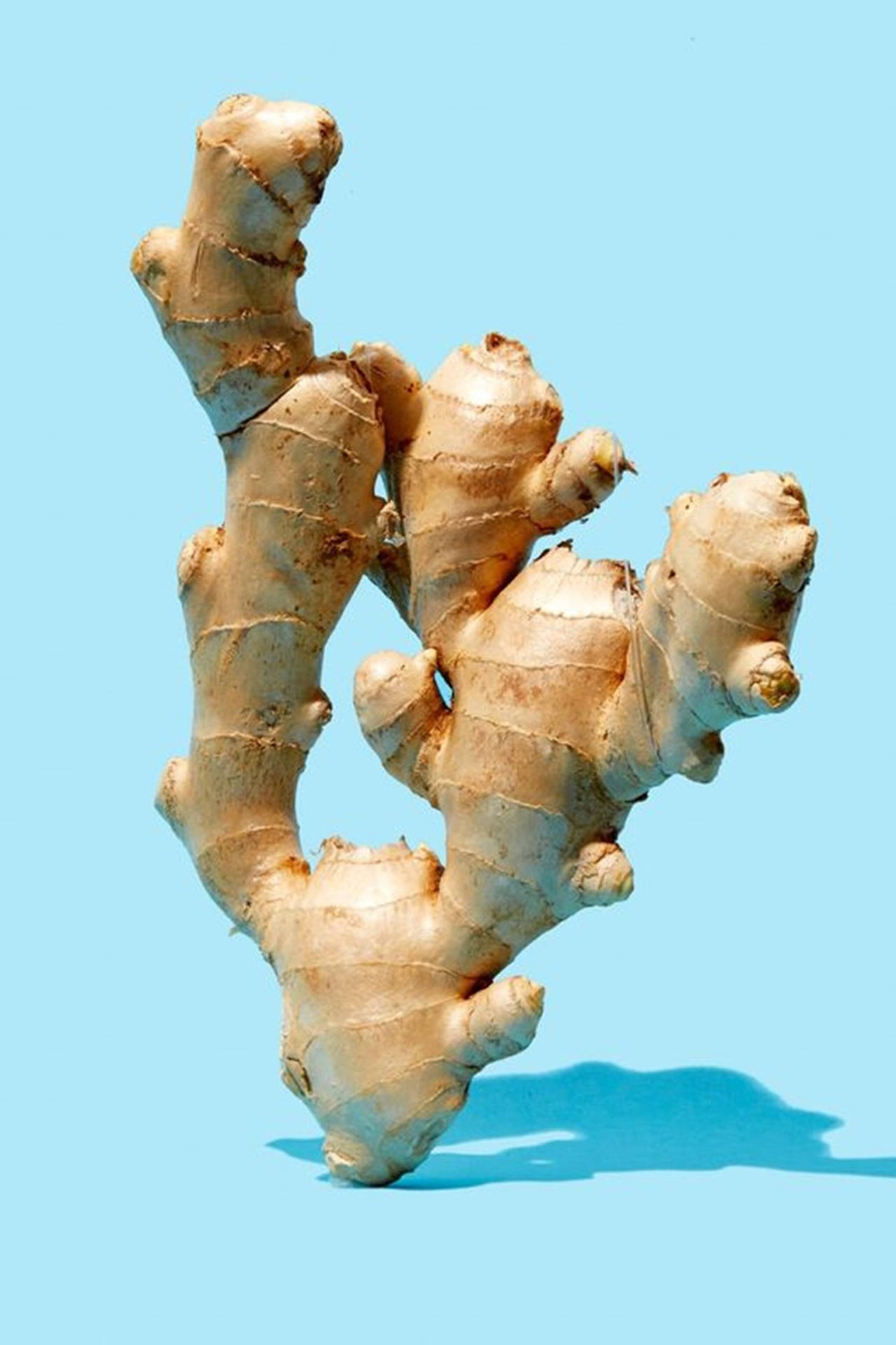 Unique Ginger Rhizome Vegetable Portrait Background