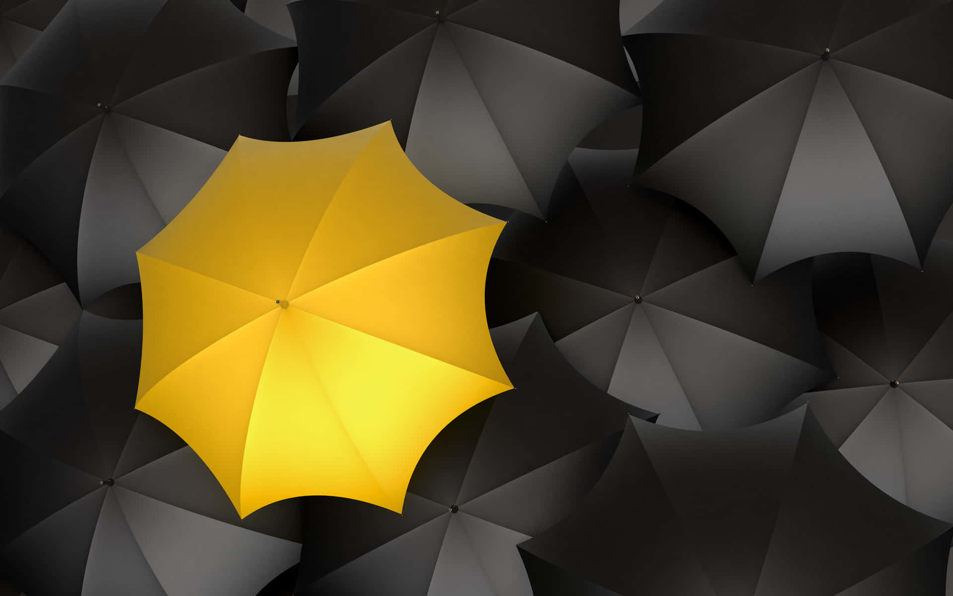 Unique Yellow Umbrella Among Black Background