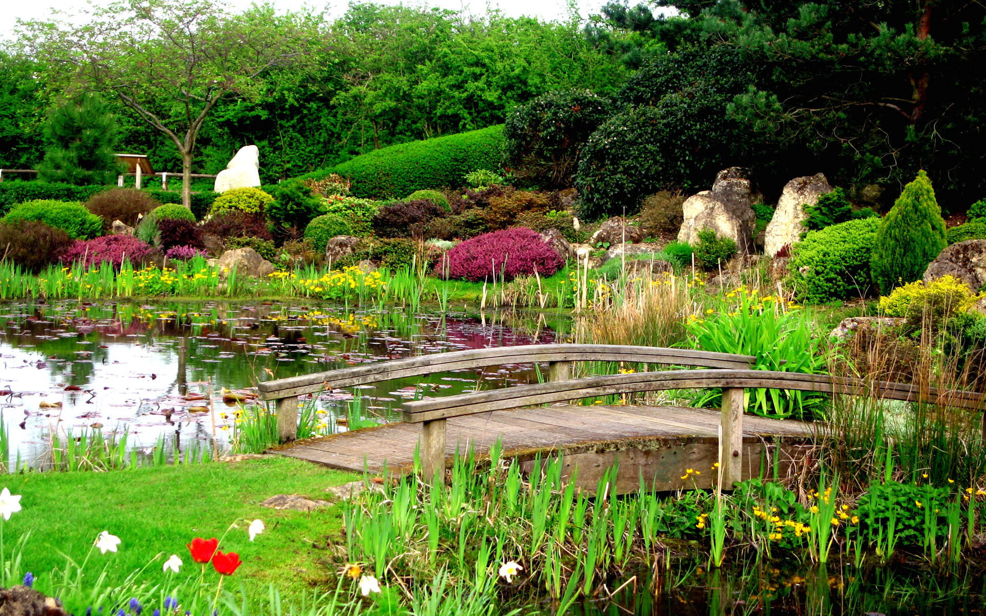 United Kingdom Botanical Garden Background