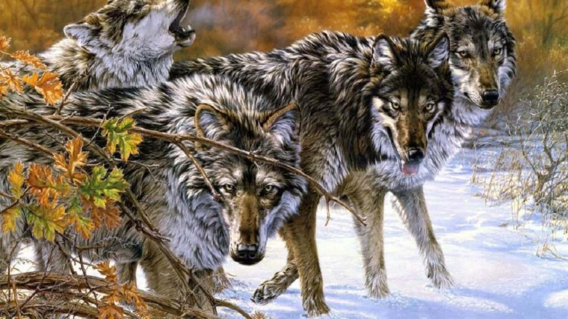 Unity And Strength Of A Wolf Pack Background