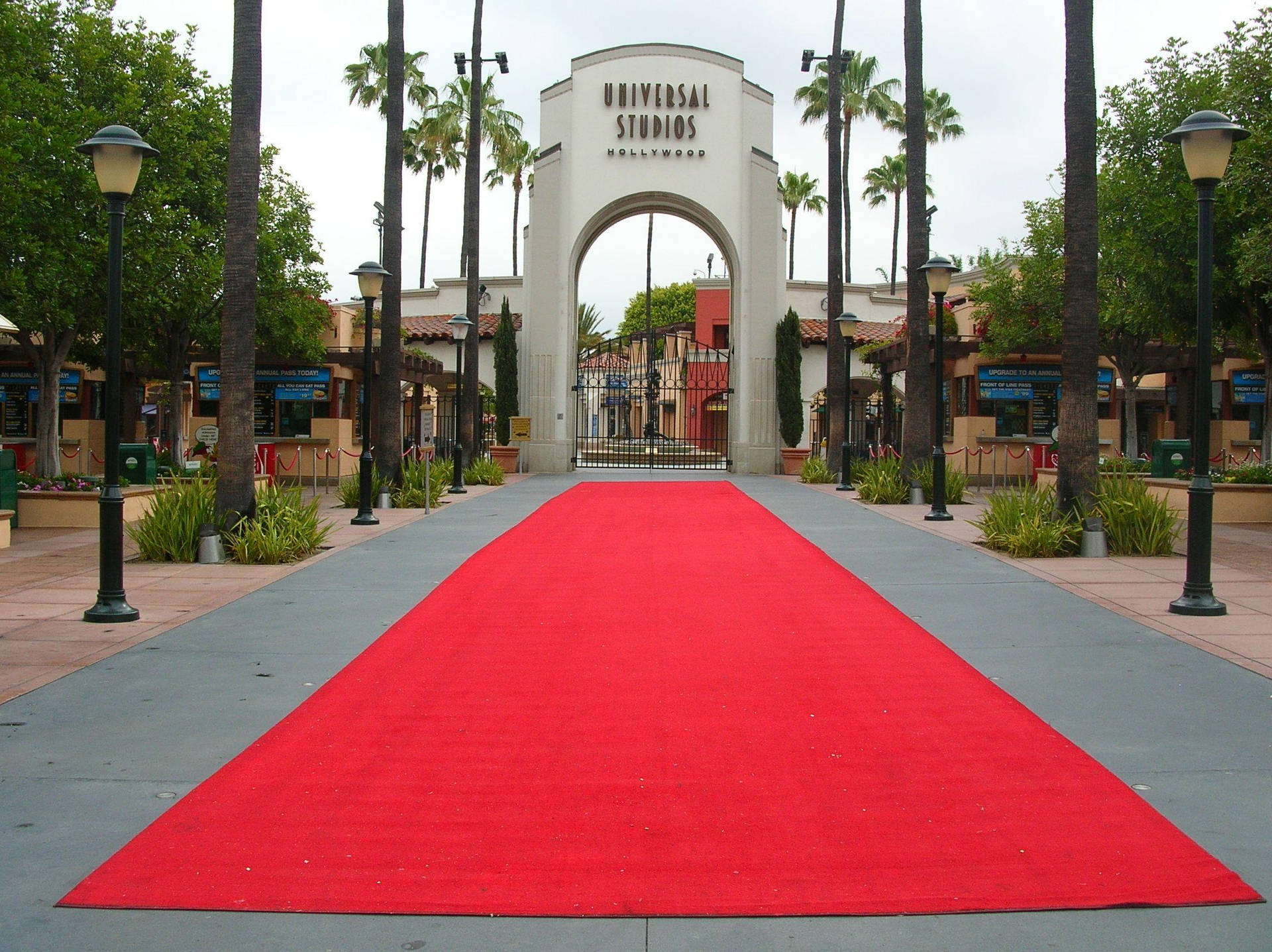 Universal Studios Red Carpet
