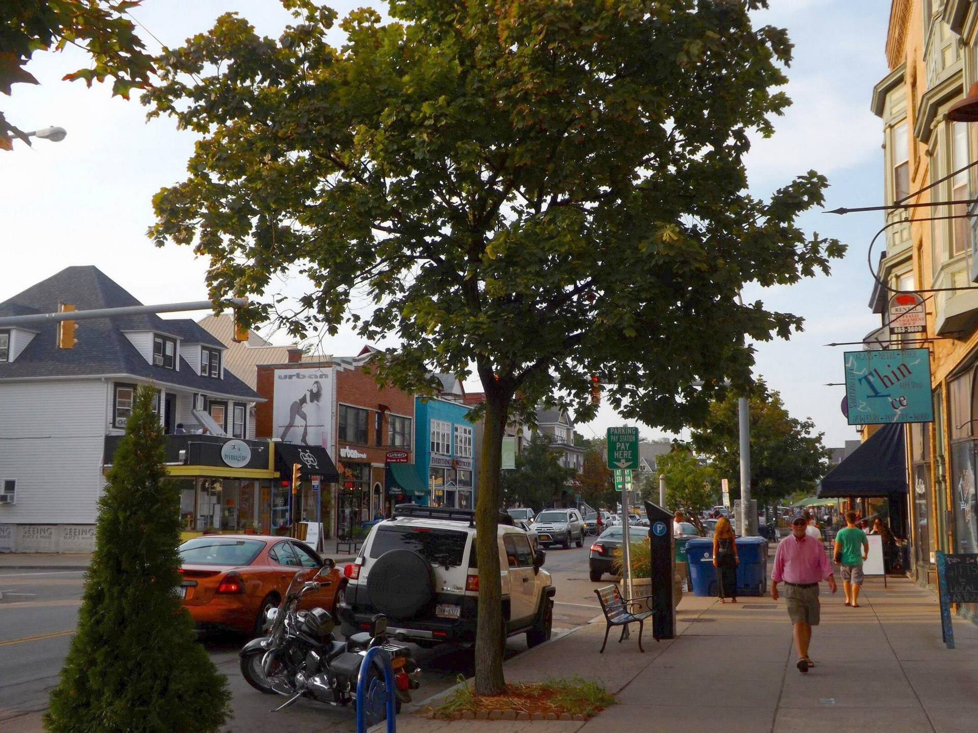 University At Buffalo Suny Elmwood Village Background