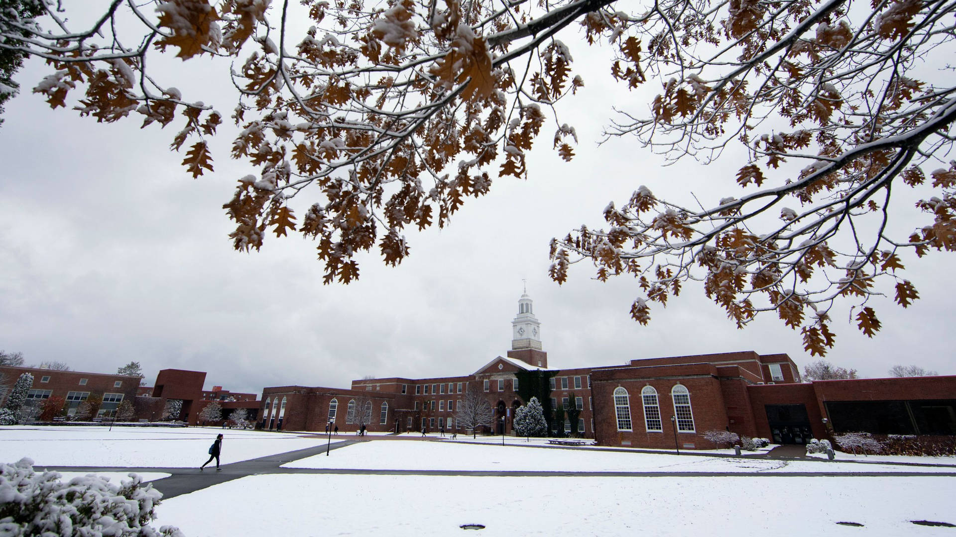 University At Buffalo Suny Winter Campus Background