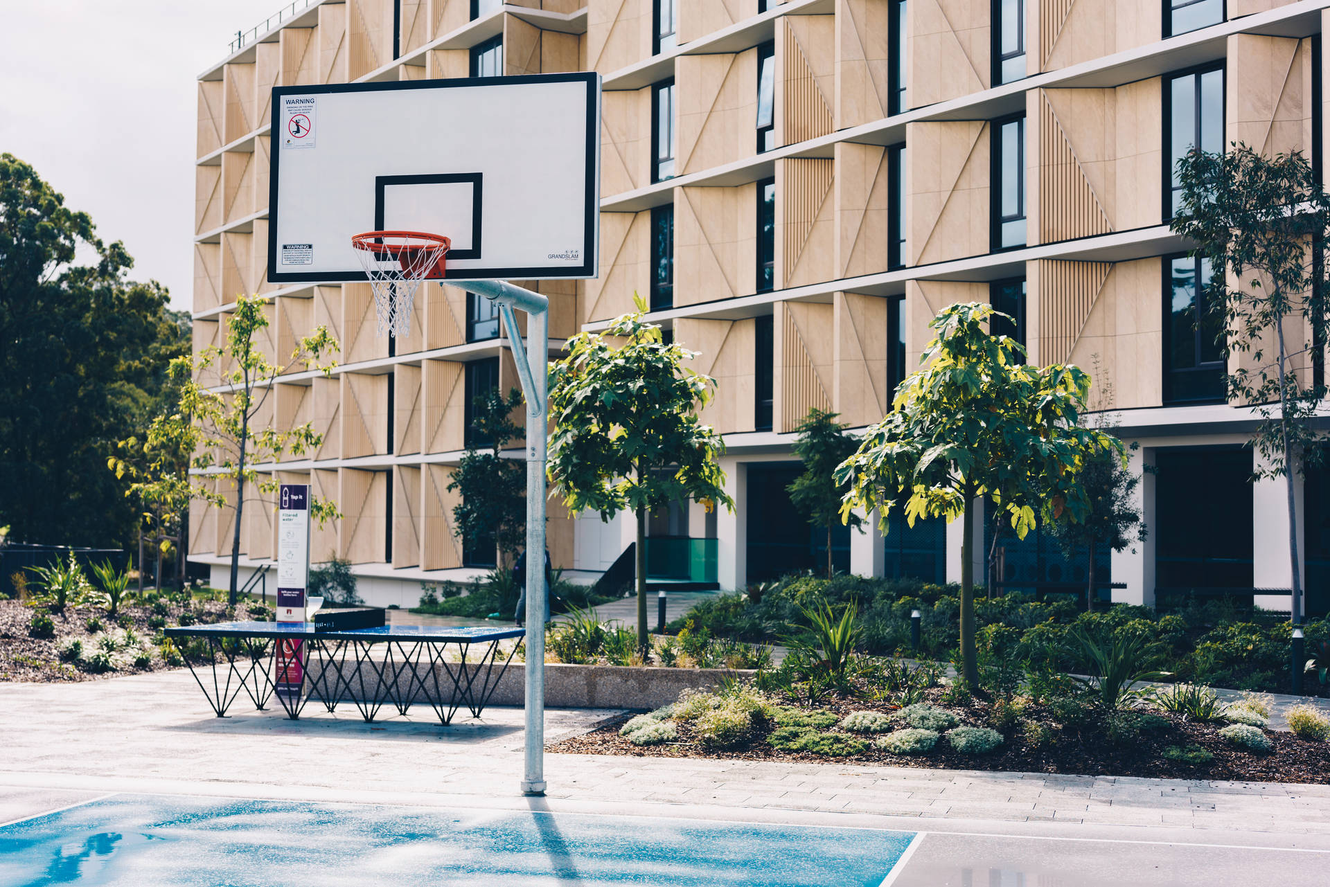 University Basketball Court