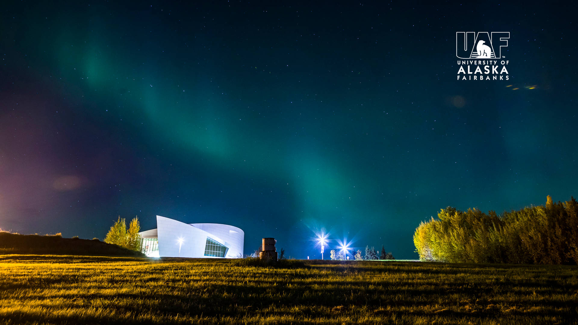 University Of Alaska Fairbanks Grassfield Background