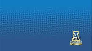 University Of Alaska Fairbanks Nanooks Banner Background