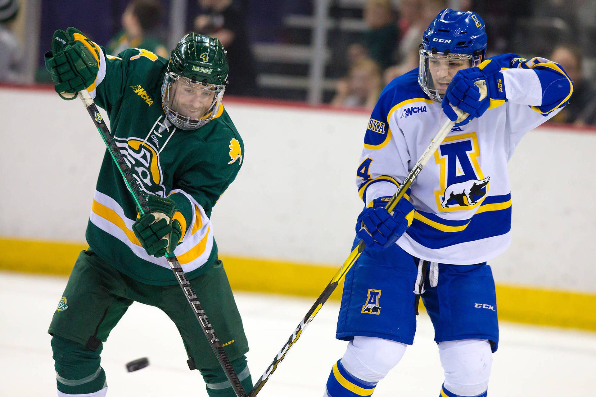 University Of Alaska Fairbanks Vs Uaa Background